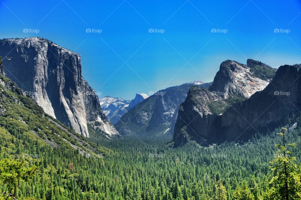 Scenic view of a mountain and forest