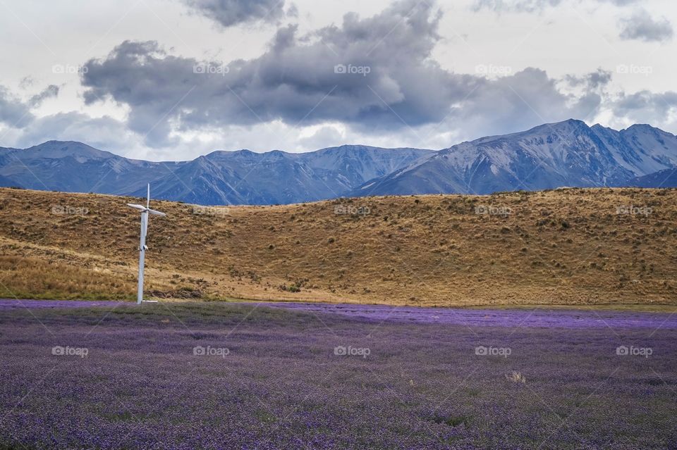 Solo wind turbine in a lavender field in the beautiful Mackenzie region of the South Island, New Zealand 