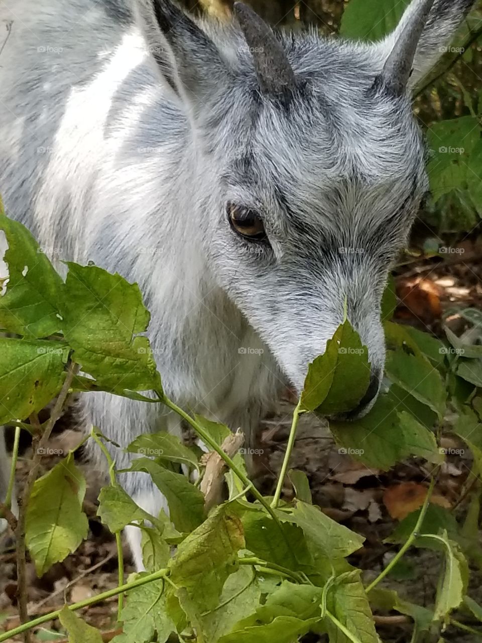 Top Model Material!!  Am I right?