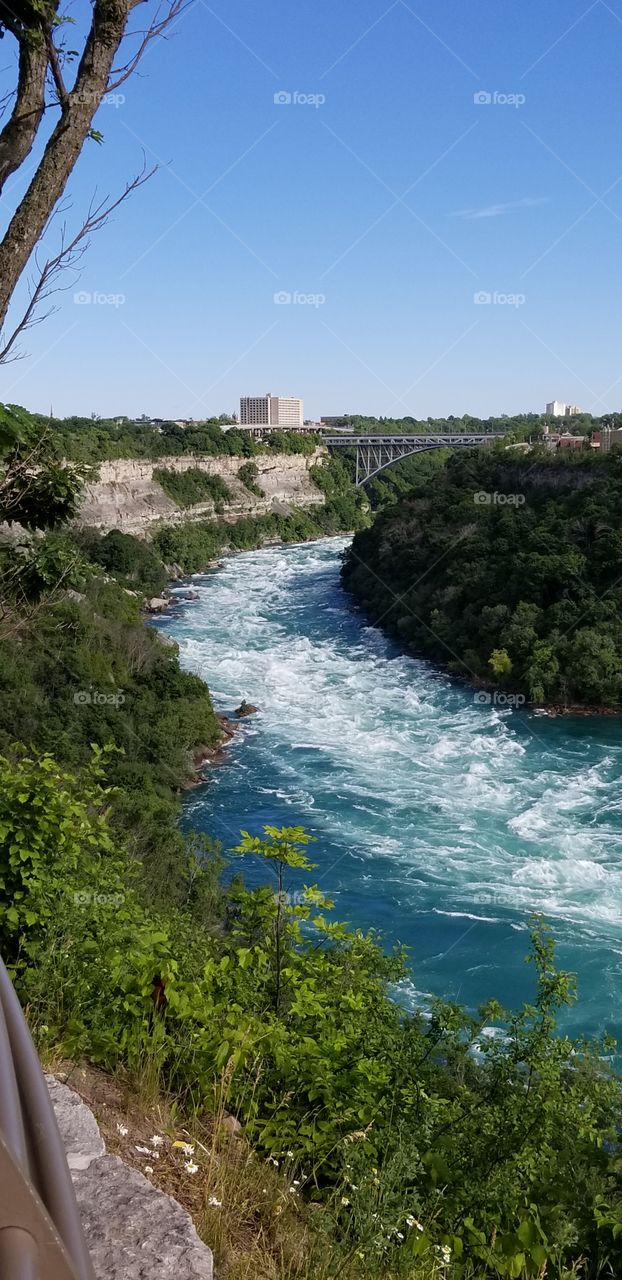 Niagara Waters