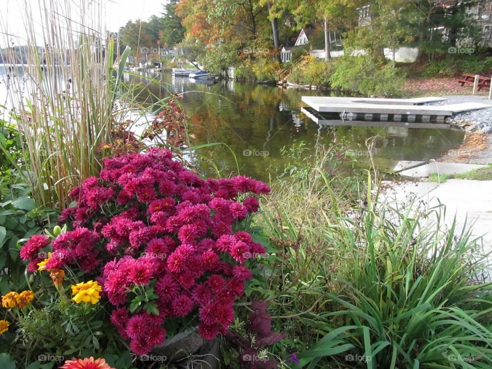 By the dock