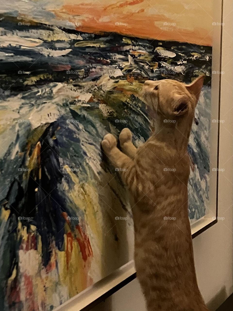 Ginger cat admiring modern painting