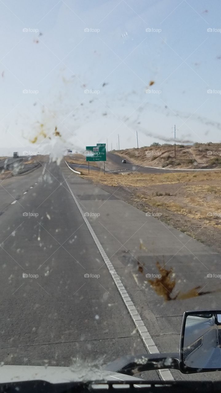 my windshield looks like something they'd make you lick on Fear Factor