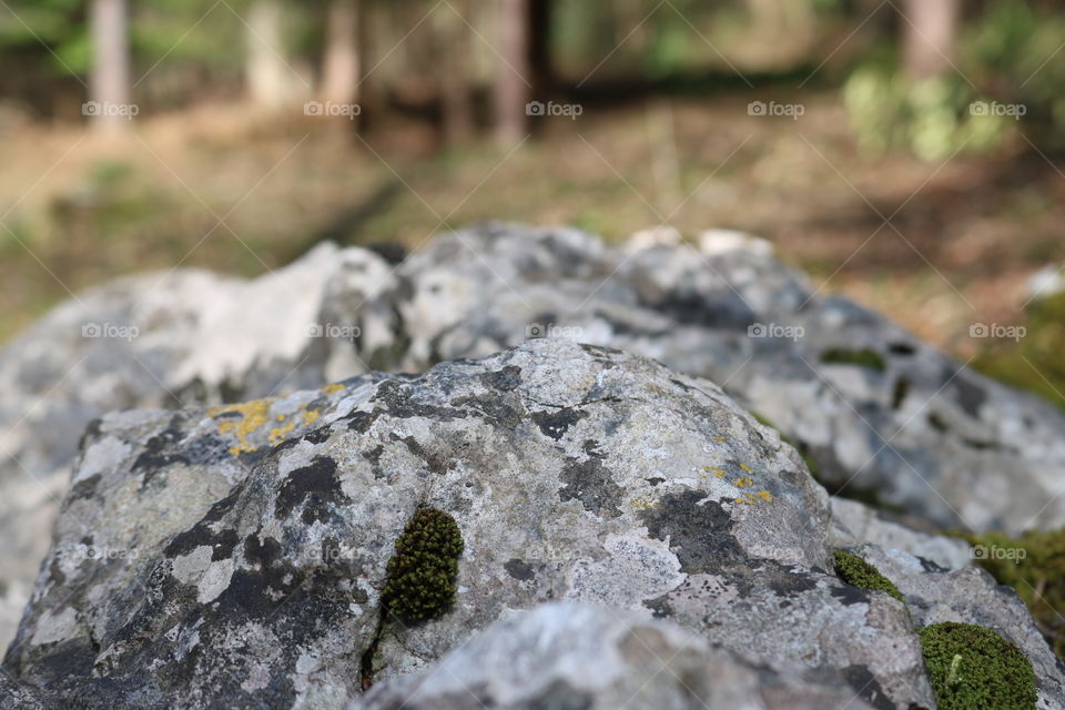 Nature, Rock, Stone, Desktop, Outdoors