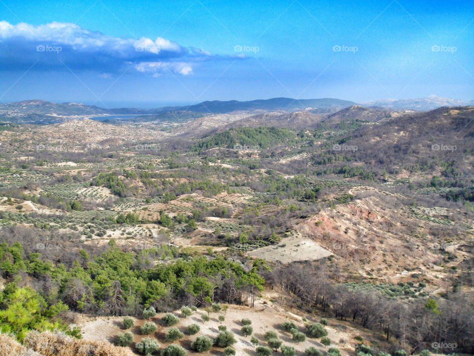 RHODES ISLAND LANDSCAPE