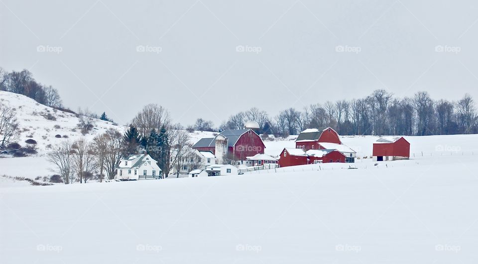 New York Farmland