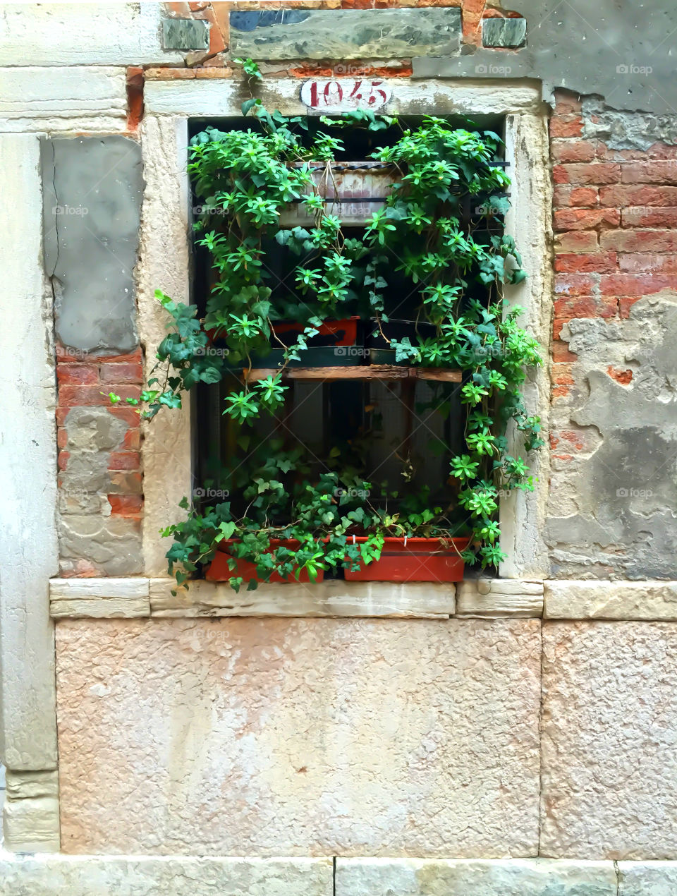 Vernazza window 4