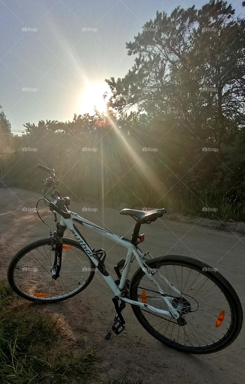 bike 🚲 on a rural road beautiful nature landscape