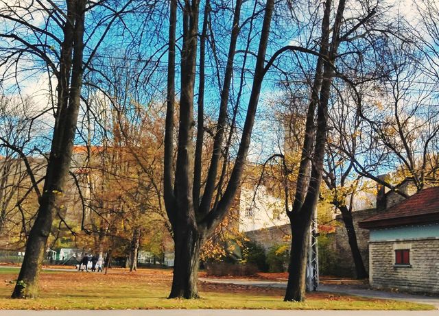 nothing beautiful then autumn🍂🍂