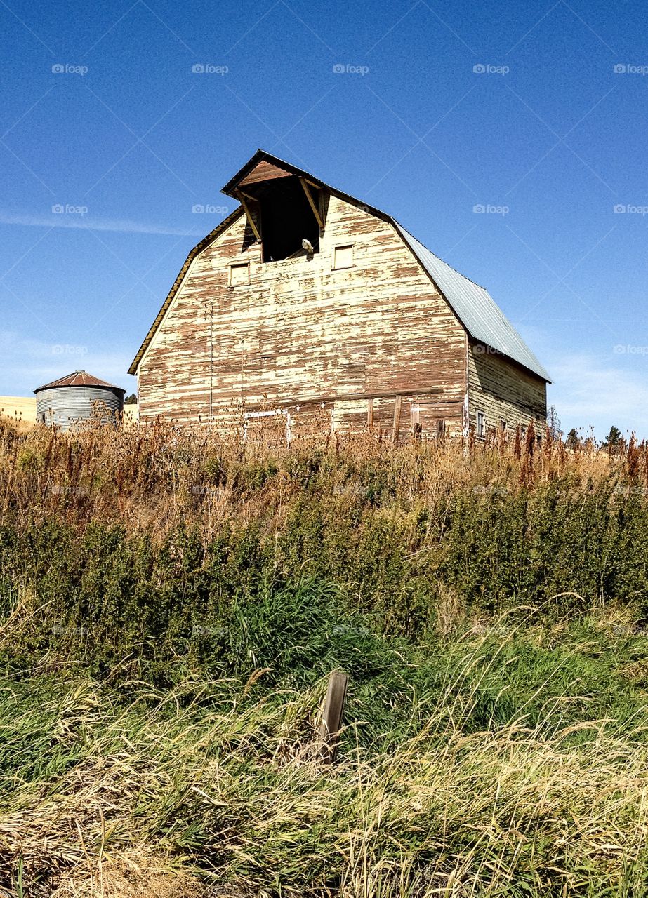 Old barn and silo