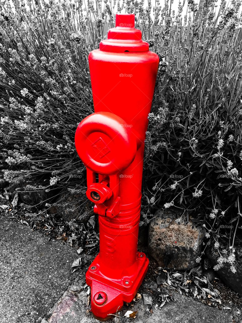 Fire post. Fire post in front of lavender in Silkeborg
