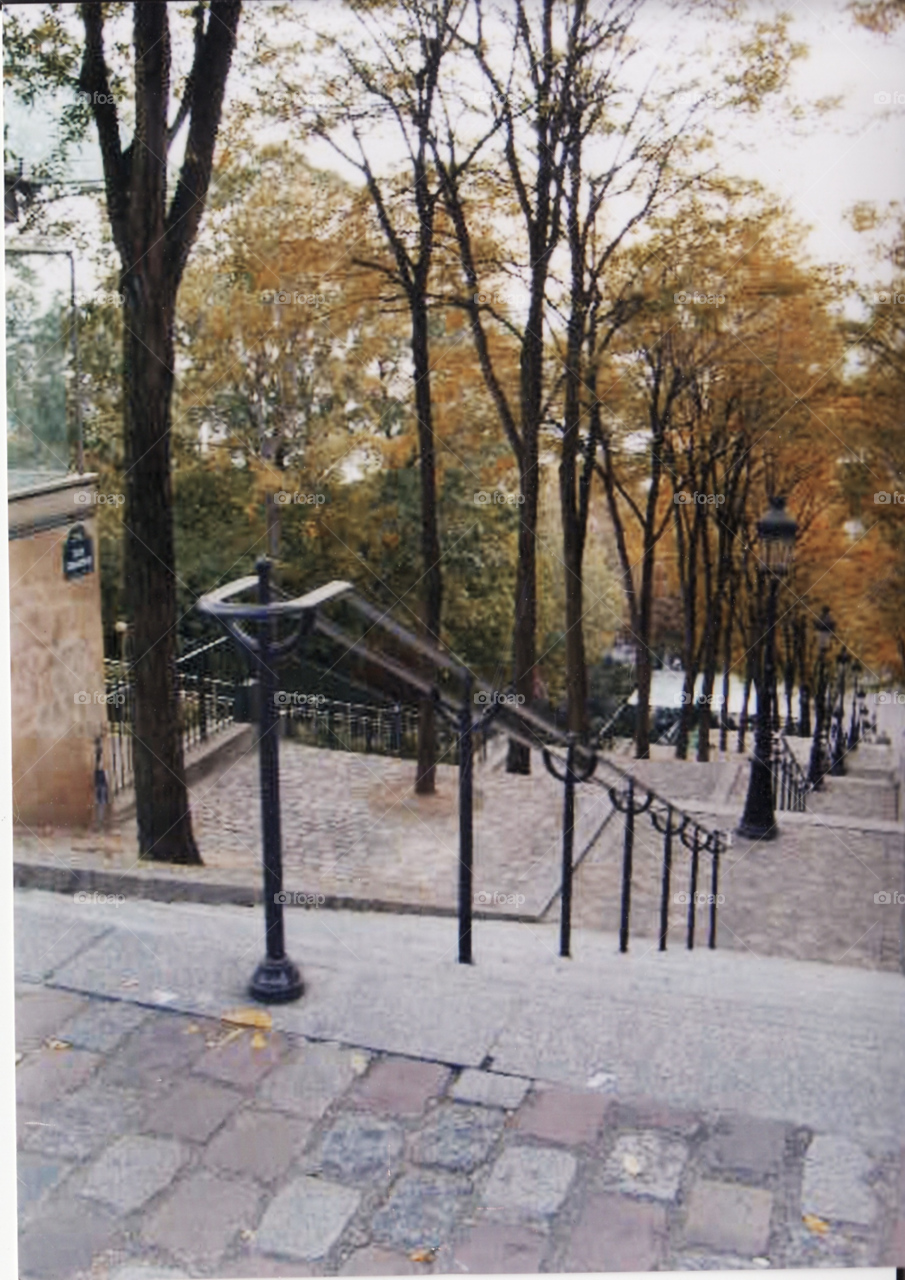 trees autumn steps paris by clarkie28