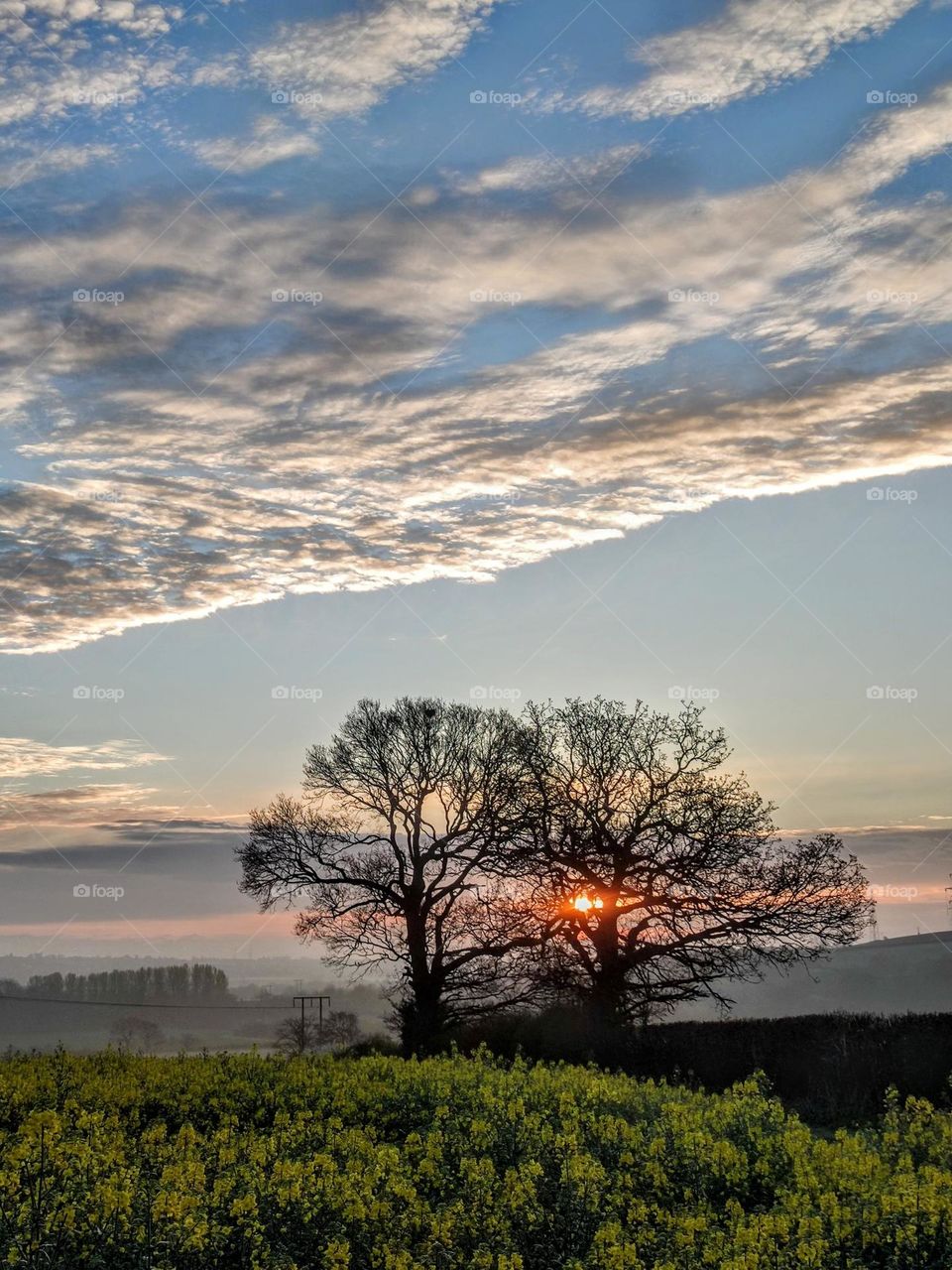 Friday afternoon .... gentle clouds
