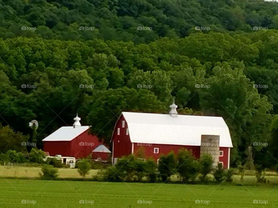 Driving the Back Roads and enjoying everything around us. The small old farms.
