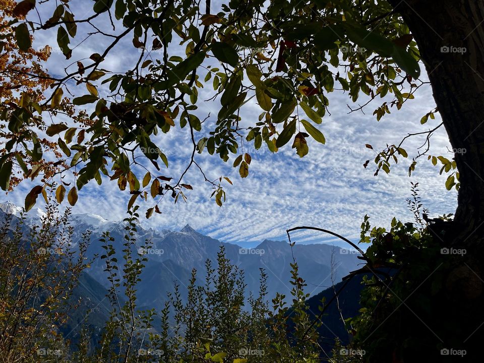 Through the window of nature 