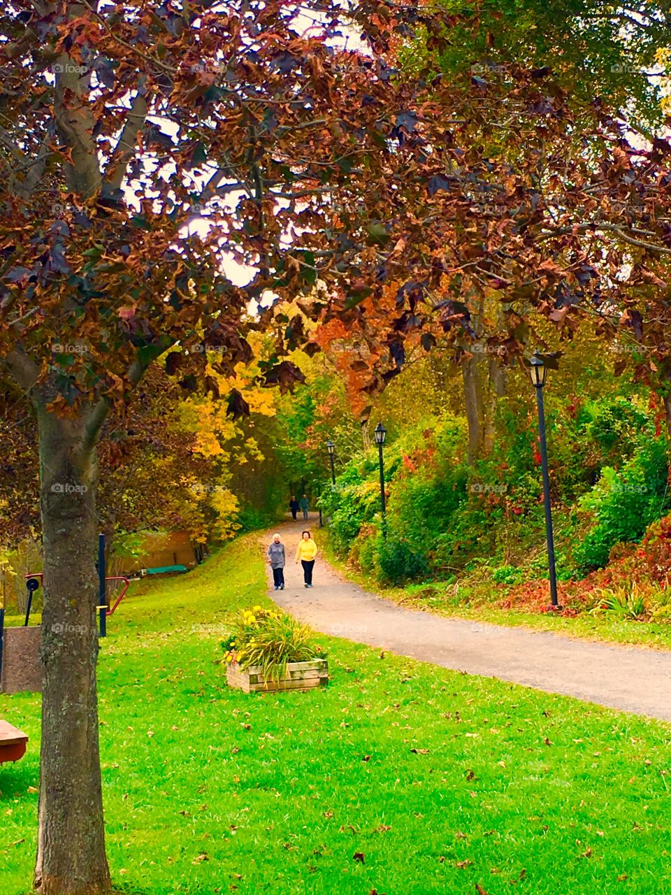 A walk on the trail 