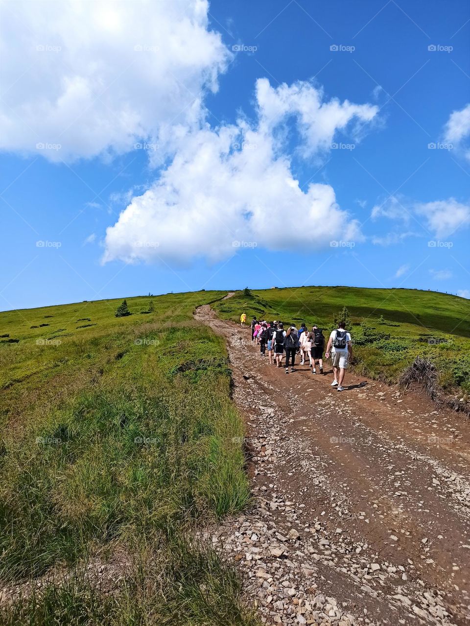 trekking in the mountains. travel to the Carpathian mountains
