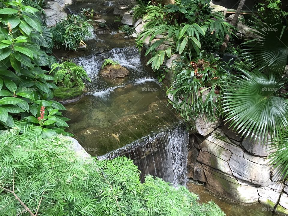 Waterfall and stream. Waterfall and stream