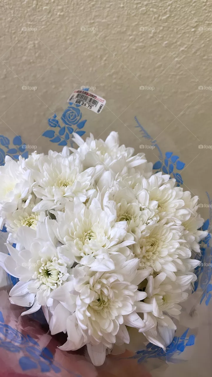 Dahlias are colorful flowers with many spiky petal which form their large, round heads. They range in color and size…!