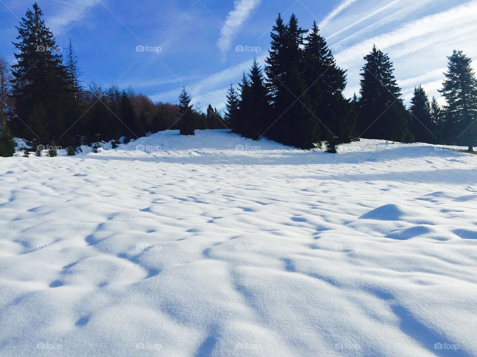 View of snowy landscape