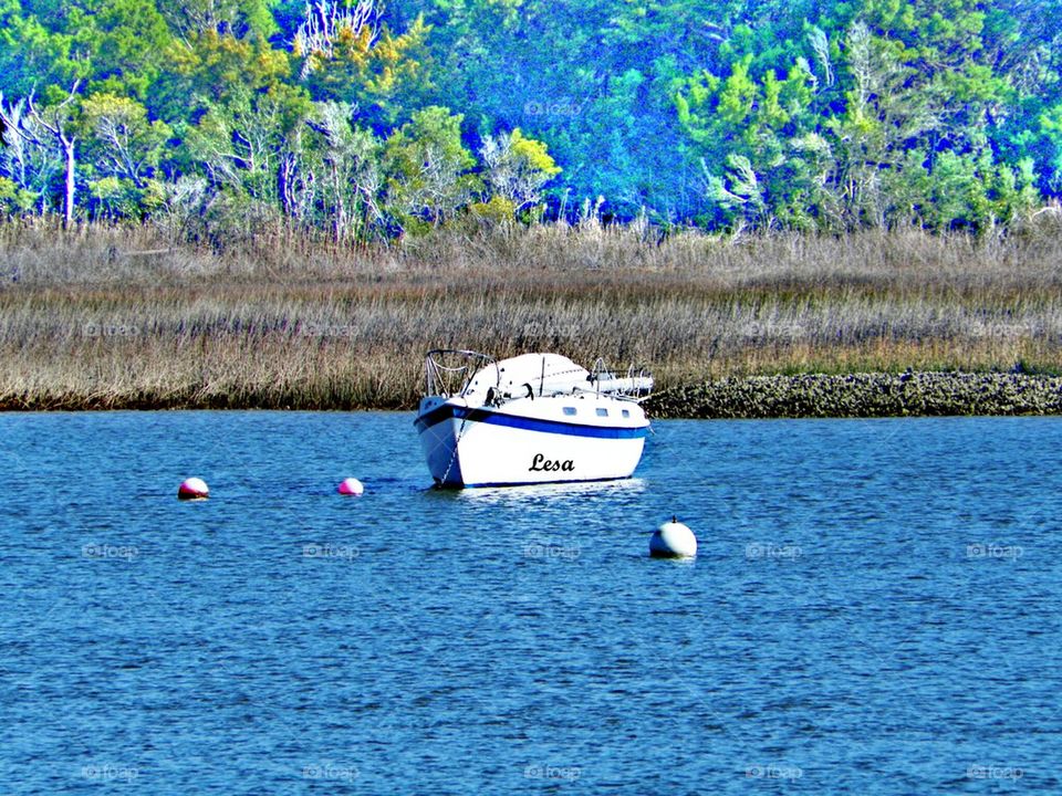 sail boats