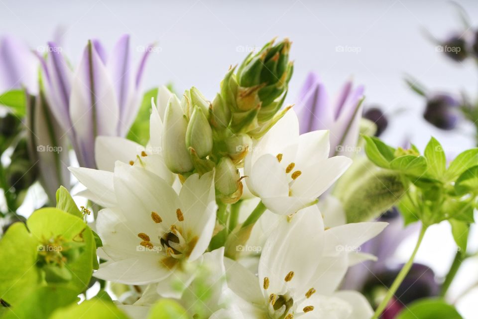 Bouquet of Flowers. A close up image of a bouquet of white and purple flowers.