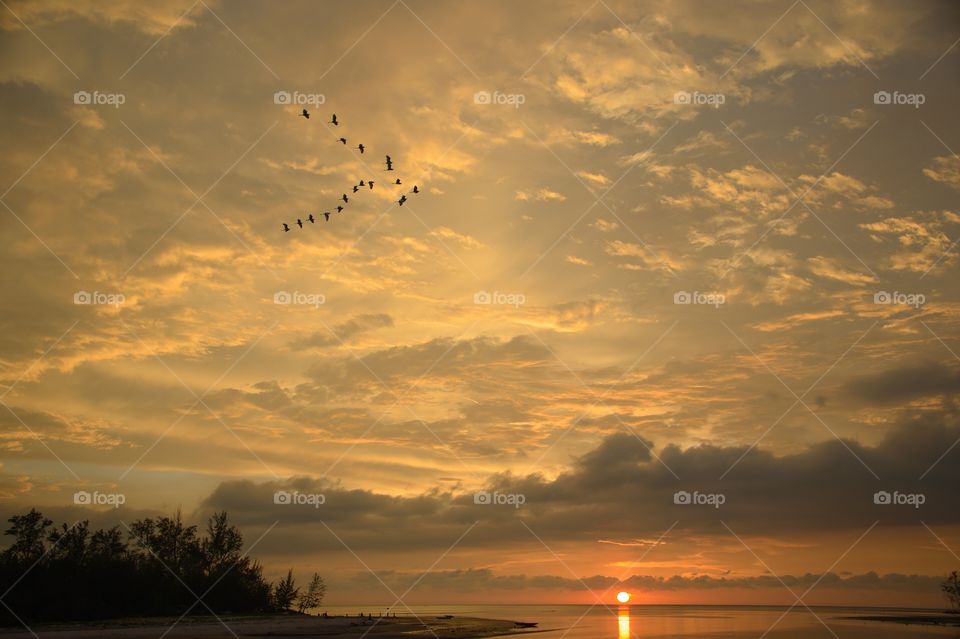 Lovely sunset with birds flew.