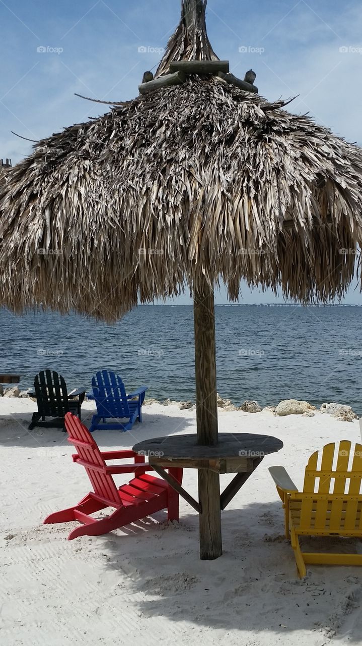 tourist umbrella. Tampa Bay