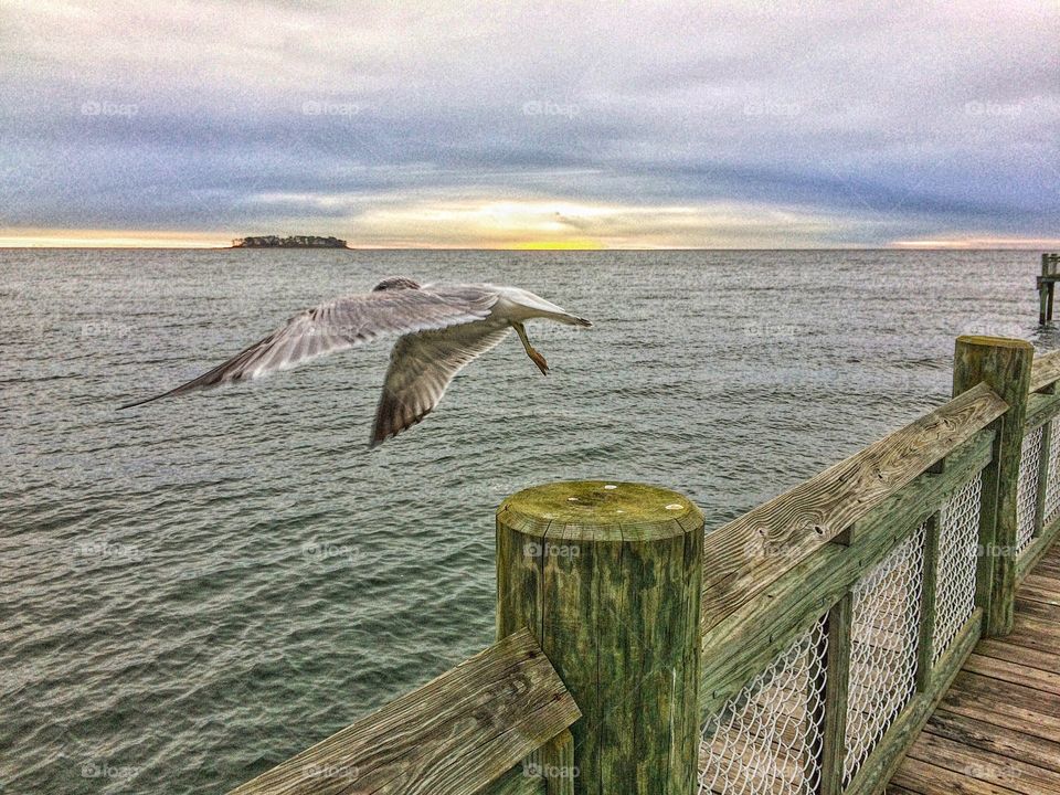 Charles Island, Milford CT