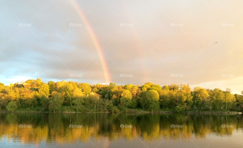 Double rainbow over Djurgården, yellow trees
