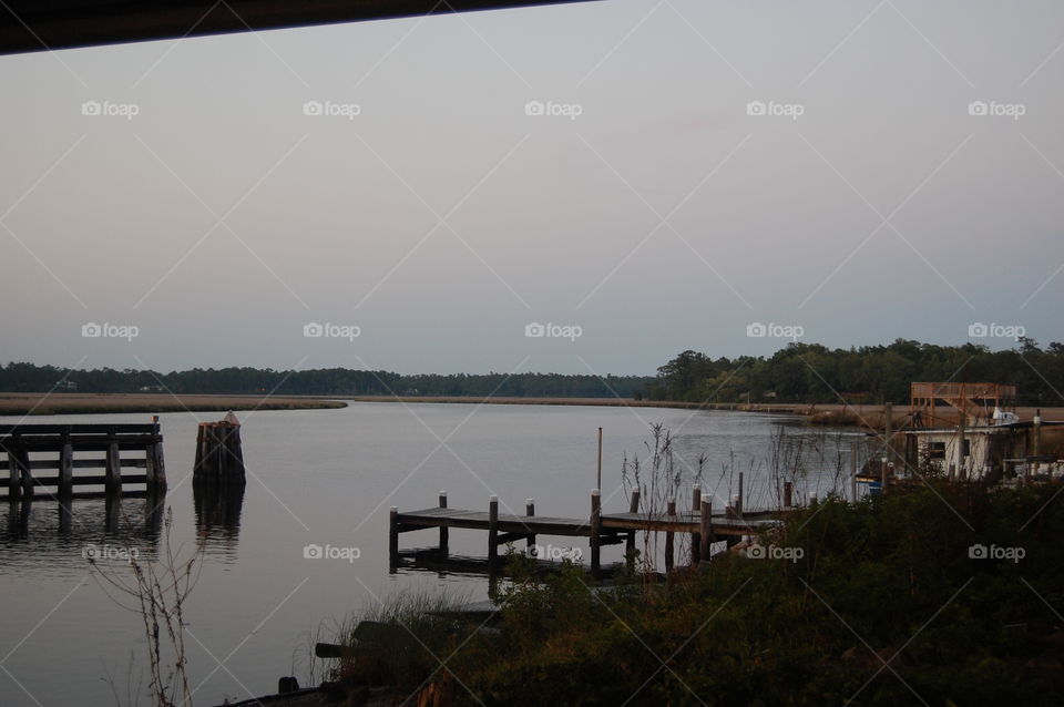 Mississippi bayou