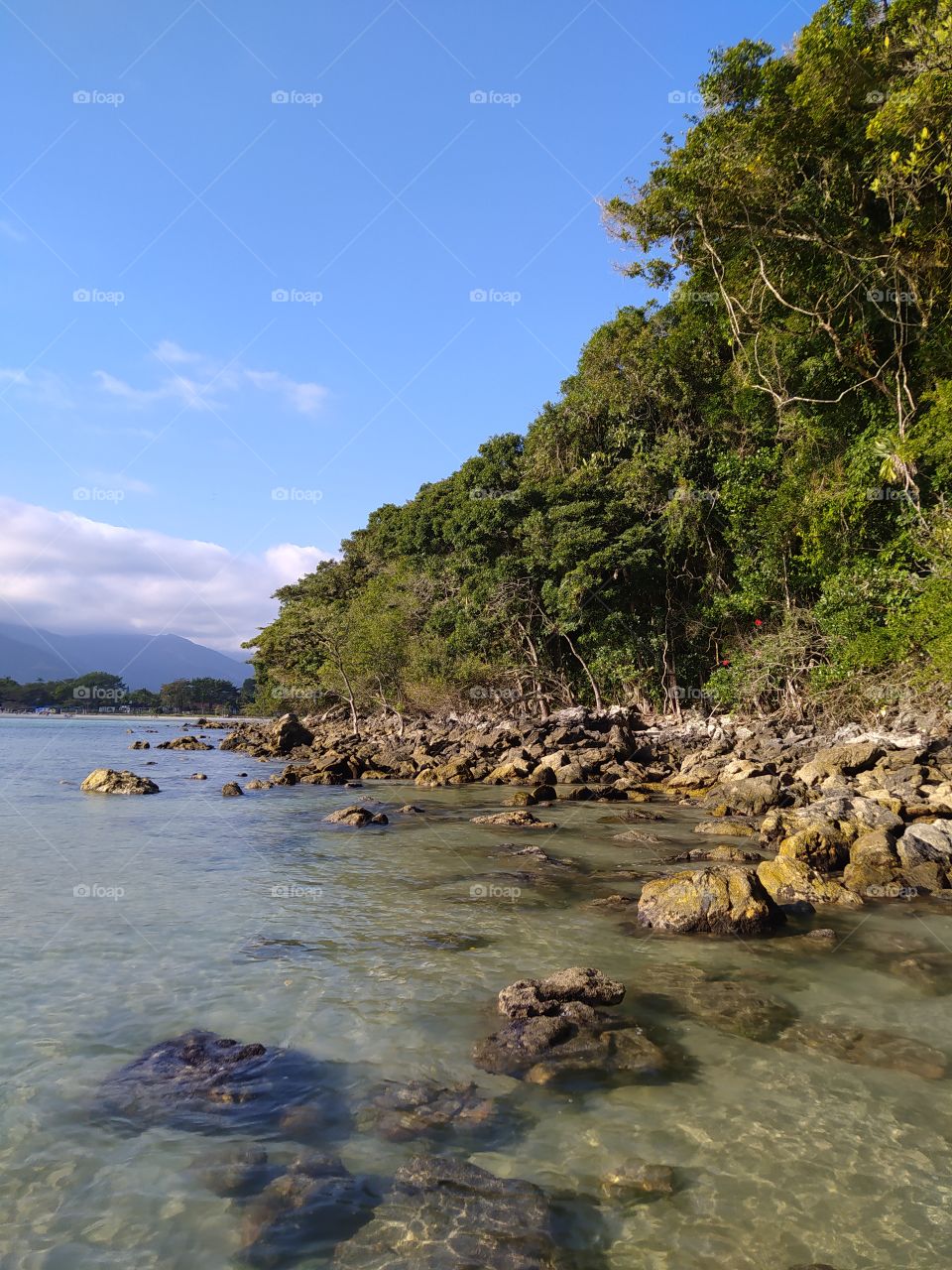 Visita ao canto da praia de Boracéia, um lugar lindo com pedras, árvores e água cristalina.
