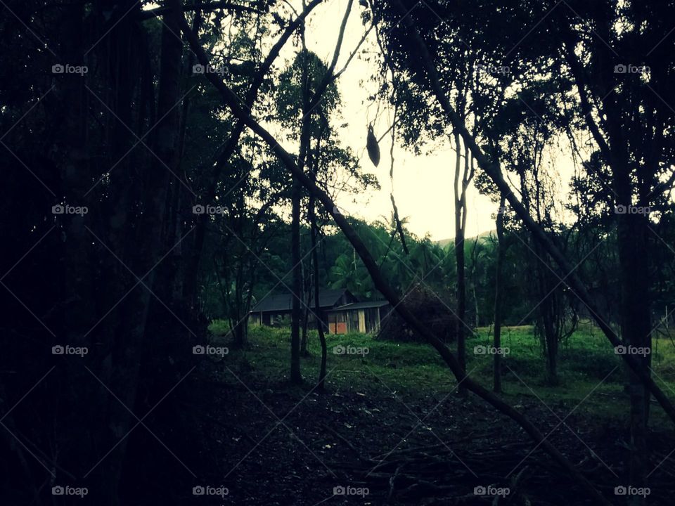 La no fundo o antigo rancho.