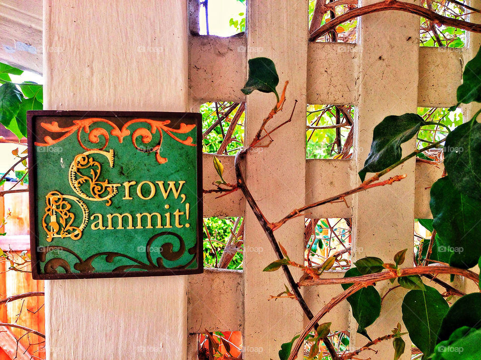 Humorous funny Grow Dammit sign in a home garden trellis