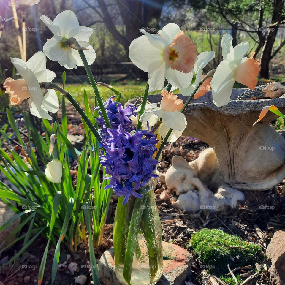 Flowers and a vase outside