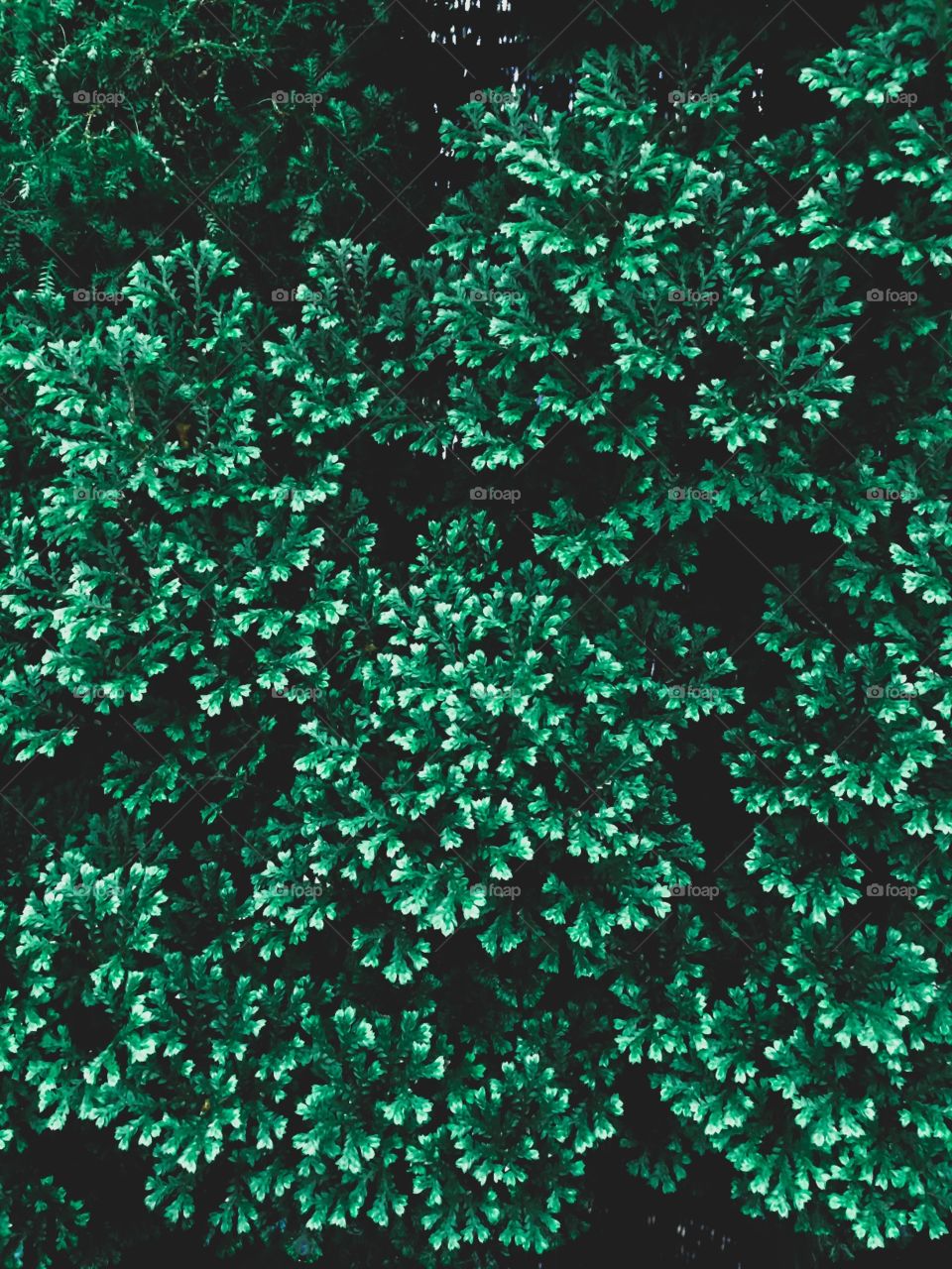 Never stop Trying. Never stop Believing. Never Gave Up. You day will Come!!!