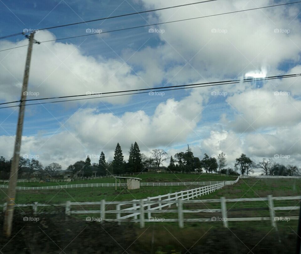 Farmland