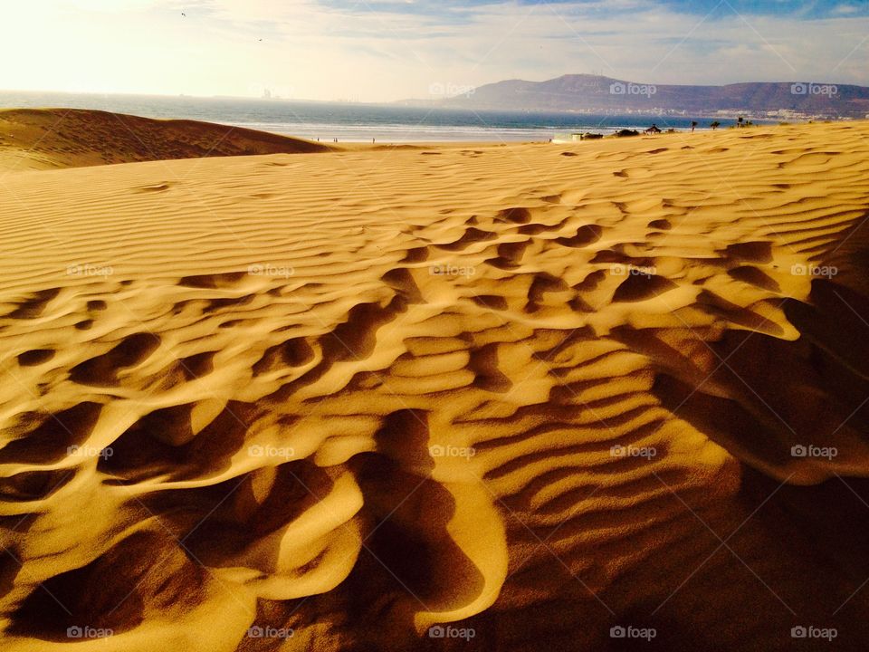 Desert on the beach