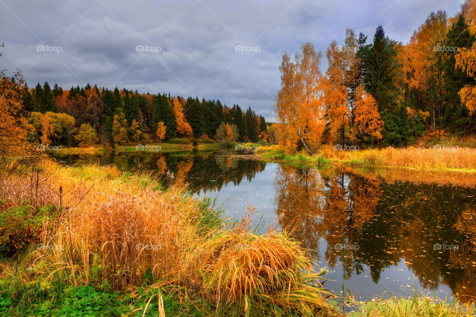 Autumn landscapes with forest and pond