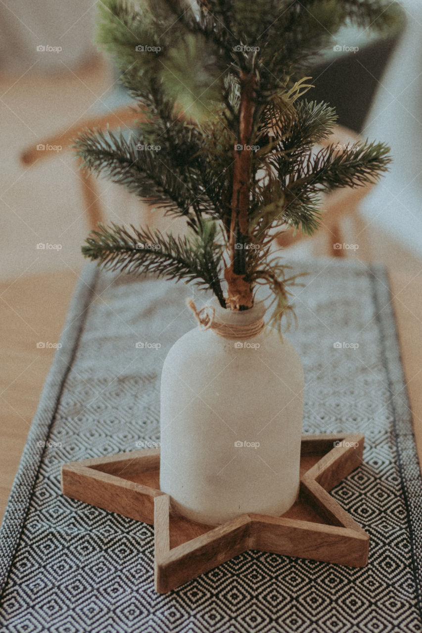 Pine in a pot on table
