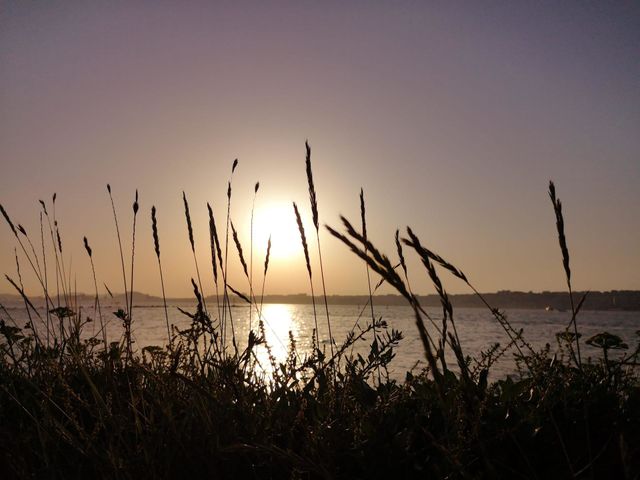 Atardecer playero. En las dunas contemplando el mar.