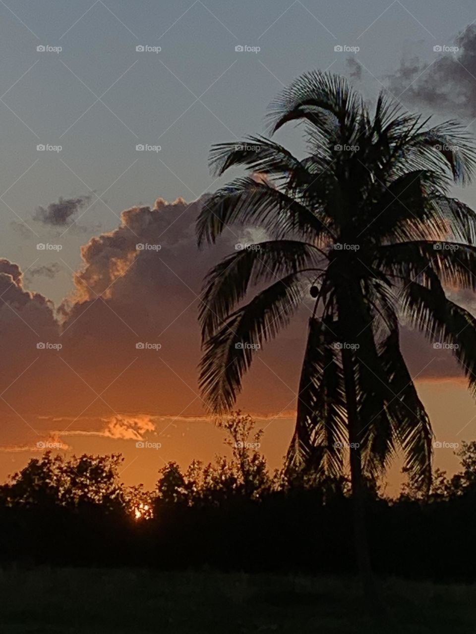 TROPICAL SUNSET