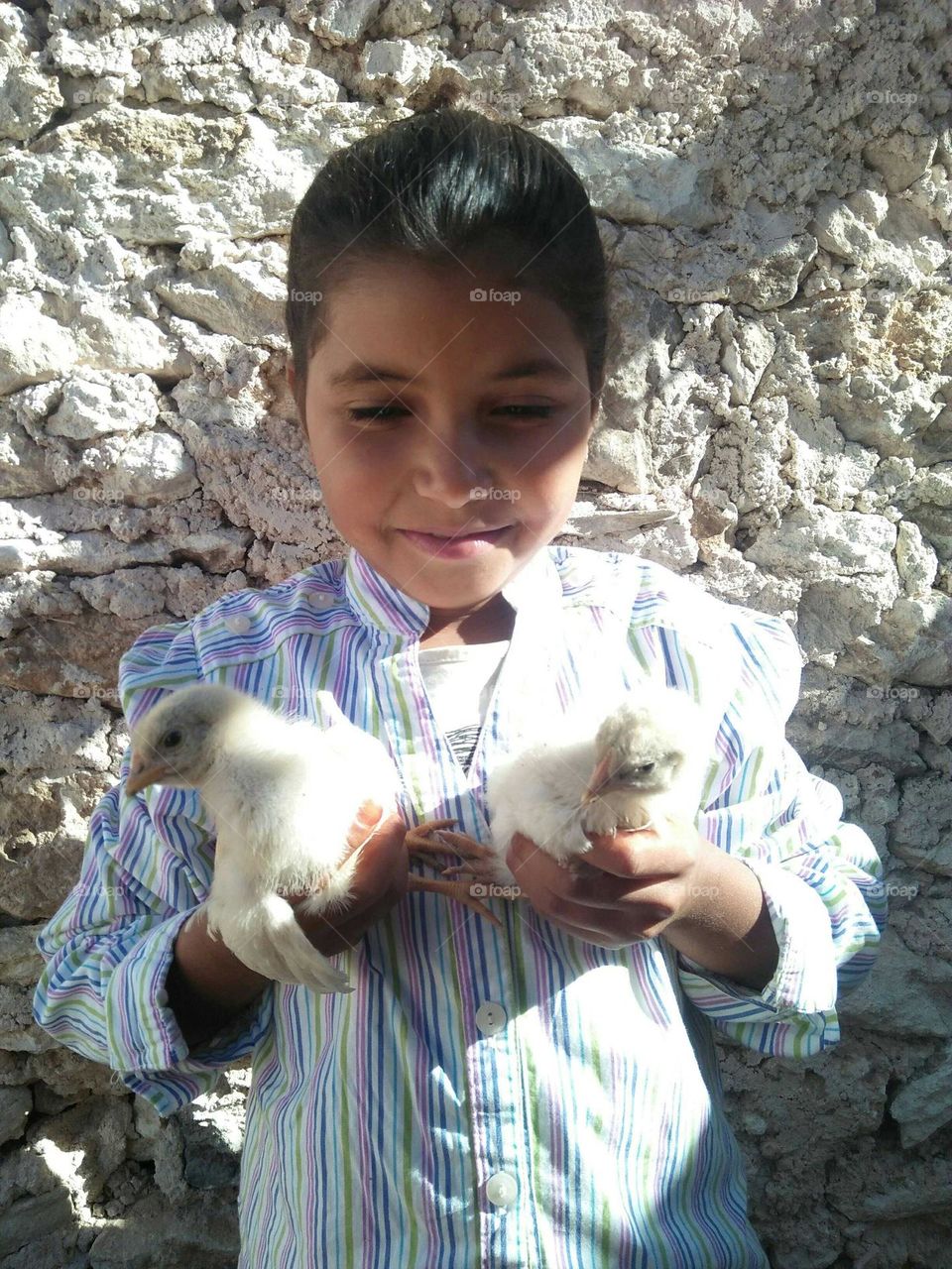 A beautiful girl holding two small Chikens.