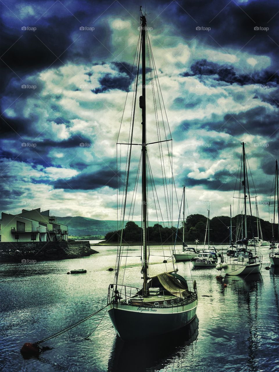 Boats. Harbour 