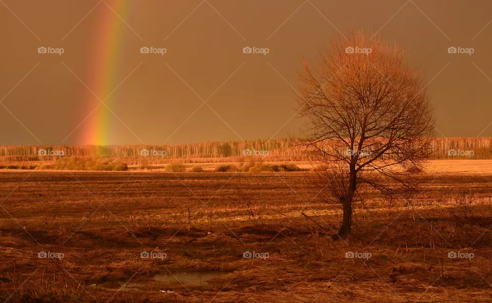 rainbow
