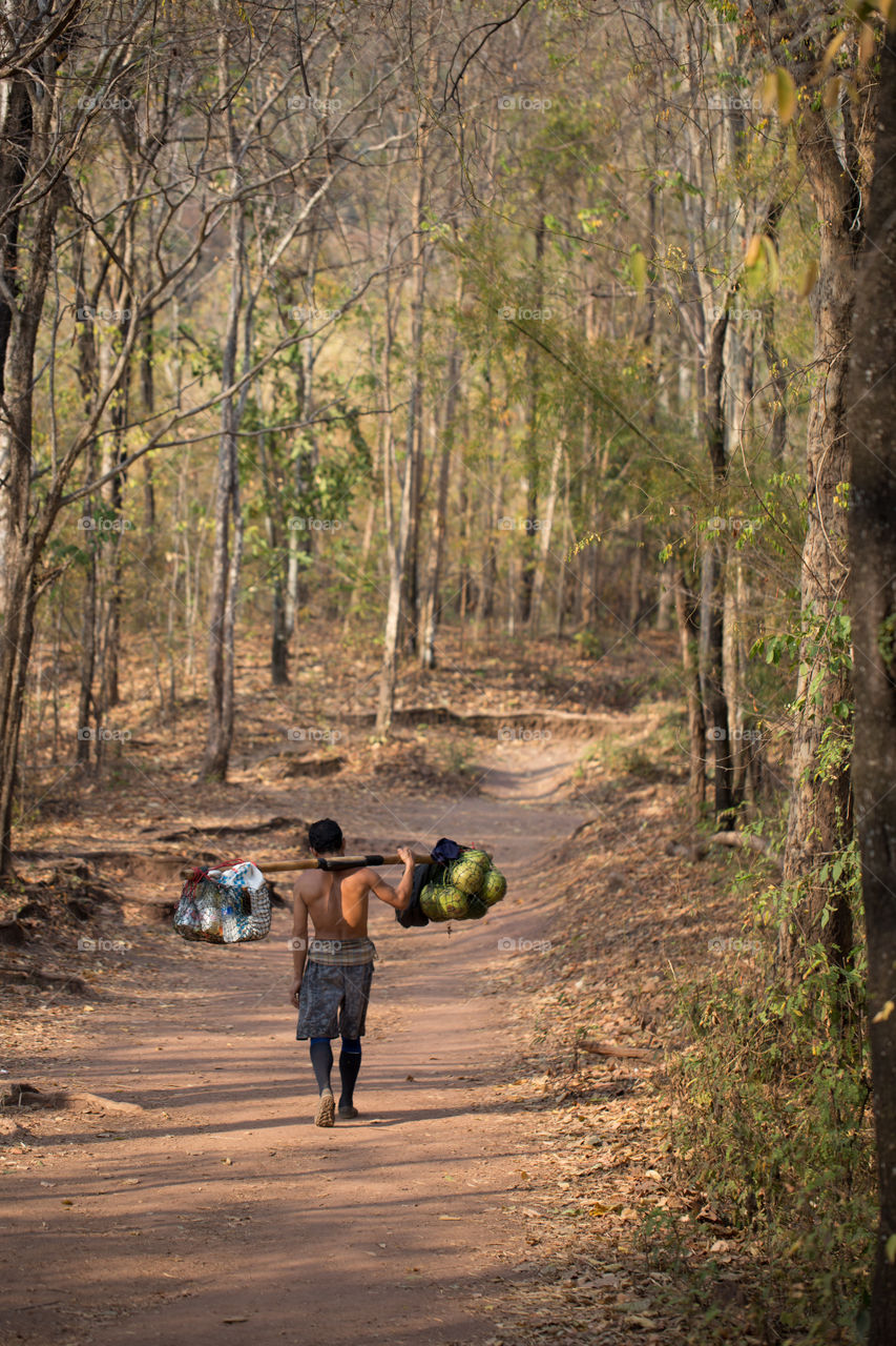 Man carrying thing on shoulder in forest 