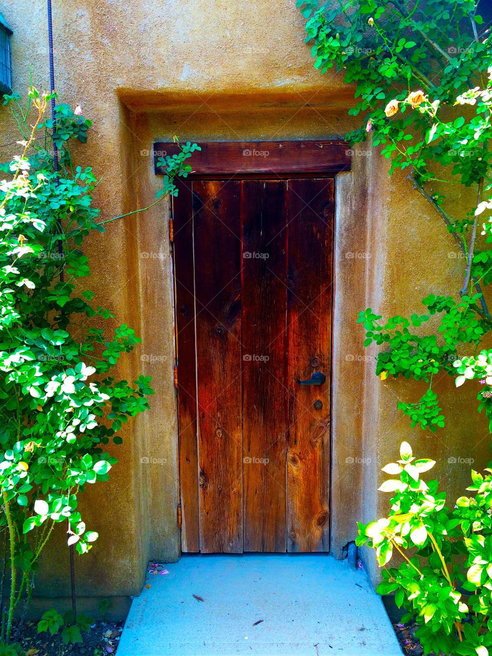 Random beauty door . Photo taken at Descanso Gardens 