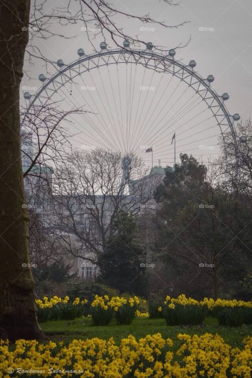 Spring in St. James Park