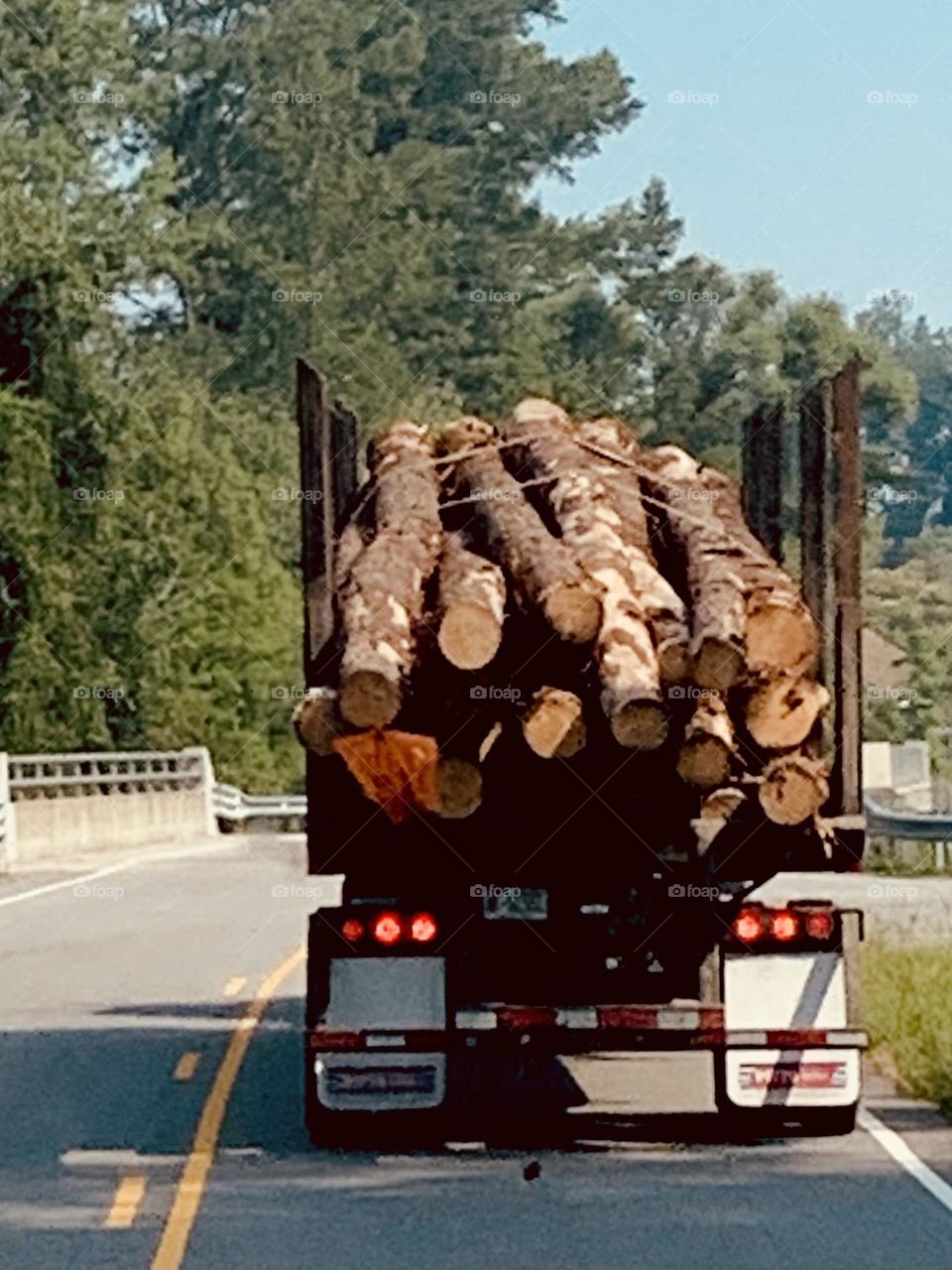 Logging truck color 