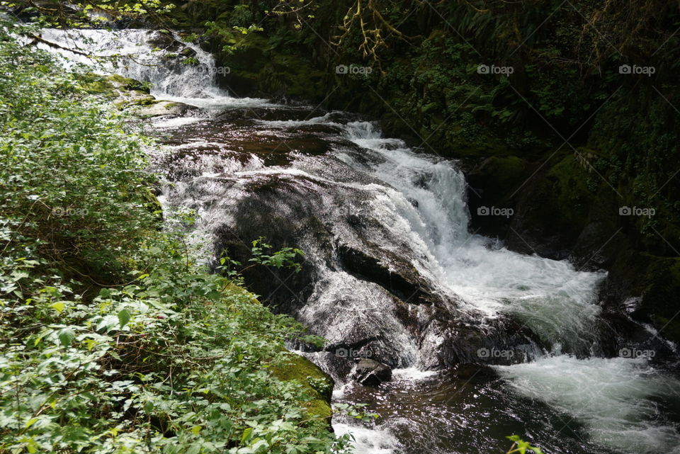 Running creek. Creek along trail in Mapleton